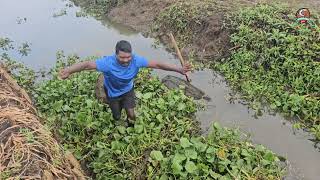 എന്റെ നാടുപോലെ ഒരിടമുണ്ടെങ്കിൽ കുടുംബബഡ്ജറ്റ് ഇങ്ങനെ നിയന്ത്രിയ്ക്കാം [upl. by Acinoryt745]