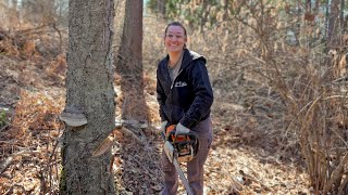 5 Years Living Off The Grid  Falling Her First Tree  It Was Hilarious [upl. by Korie973]