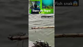 Hydro fish snak  जहरीला  chhath घाट पर दिखाई diya tha😲😱 [upl. by Ronny]