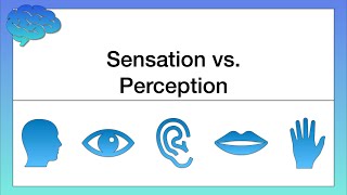 What’s the Difference between Sensation and Perception [upl. by Ifill388]