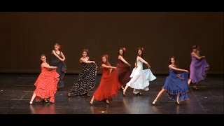 Flamenco  quotBailandoquot ShakallisDance2014 [upl. by Alokin]