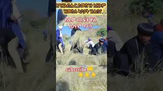 የሉም ጠፈተዋል ሲሉ ኖረን duet abelbirhanuየወይኗልጅ habesha ethioforumኢትዮፎረም amharic yetbitubeየተንቢ [upl. by Dixie]