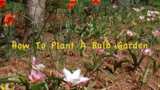 How To Plant a Bulb Garden [upl. by Davie594]