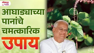 Aaghada Vanaspati Gharguti Upay  आघाडा वनस्पतीचे फायदे  AMG  annasahebmore aaghadavanaspatiupay [upl. by Leventis456]