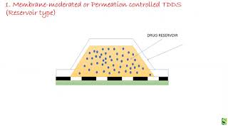 Transdermal drug delivery system Basic components amp approaches [upl. by Sicard]