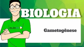 Biologia  Embriologia  Gametogênese [upl. by Eniliuqcaj241]