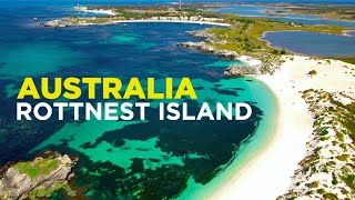 ROTTNEST ISLAND is the QUOKKA worlds CUTEST animal Day trip from Perth [upl. by Batory]