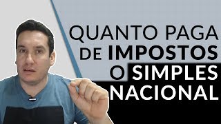 QUANTO PAGA DE IMPOSTOS UMA EMPRESA SIMPLES NACIONAL ME [upl. by Ahsiele301]