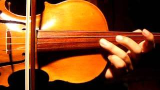 Paganini Caprice No 20 Excerpt Rare Violin Amazing Unusual Sound Sample [upl. by Goodkin]