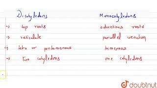 Give the major differences between dicotyledons and monocotyledons  11  PLANT KINGDOM  BIO [upl. by Connel997]