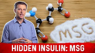 The Hidden Insulin MSG – Monosodium Glutamate Explained by DrBerg [upl. by Nirtiak599]