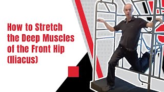 How to Stretch the Deep Muscles of the Front Hip Iliacus  Ed Paget [upl. by Novit]