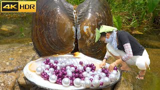 😱 Its amazing There are so many purple pearls in the clam they are all beautiful [upl. by Friedrick]