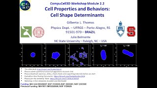 CC3D WS 22 Controlling Cell Properties Behaviors and Shapes Gilberto Thomas July 30 2024 [upl. by Kahaleel]