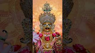 VADTAL DHAM STATUS 21 OF 200 shreeswaminarayan youtubeshort vadtal [upl. by Rabelais]