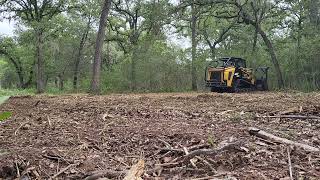 ASV 135 FORESTRY No talking just mulching ASV135 forestrymulching landscape landclearing [upl. by Okihsoy]