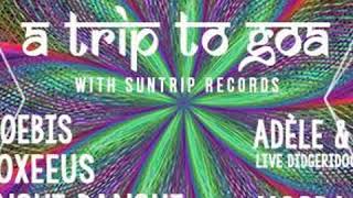 Proxeeus  Cosmic Train  a Trip to Goa Live in Paris 22062017 [upl. by Taimi648]