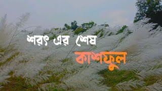 sada ronger shopno gulo সাদা রংয়ের স্বপ্নগুলো🌼 Minar rahman  bangla lyrics song🌿 🤍 🍃📍 💌 [upl. by Animlehliw155]