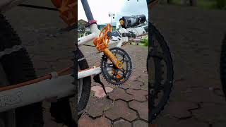 my folding bike project asimble is done [upl. by Dinan]