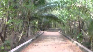 グアム ココス島ビーチ等全体風景 Guam Cocos Island Resort [upl. by Thamos]