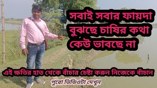 সবাই সবার ফায়দা বুঝছে চাষির কথা কেউ ভাবছে না  100 অর্গানিক মাছ চাষ  সাদা মাছ চাষ [upl. by Llemaj723]