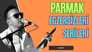 106 DERS  PARMAK EGZERSİZLERİ SERİLERİ 5 [upl. by Temme]