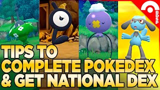 How to Complete the Pokedex amp Get the National Dex in Pokemon Brilliant Diamond amp Shining Pearl [upl. by Yks]