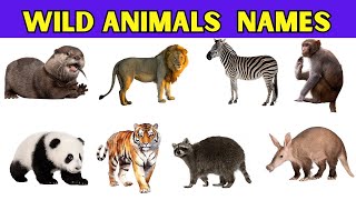 Wild Animals Name  50 Wild Animals Names In English With Pictures  Animals Names For Kids [upl. by Spense]