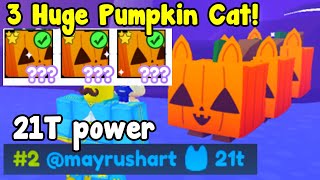 I Got 3 Huge Pumpkin Cats 650 Rainbow Ghoul Horse  Pet Simulator X Roblox [upl. by Yclehc491]