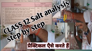 Class 12 Salt analysis  Class 12 qualitative analysis Class 12 practical [upl. by Dnumyar900]