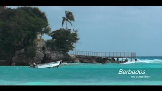 Beaches of Barbados [upl. by Ayin]