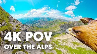 Breathtaking Eagle POV Flying Over The Alps in 4K [upl. by Dulcea]