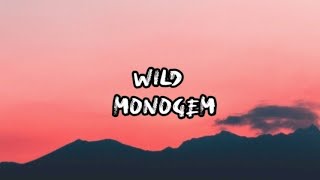 Wild  Monogem（lyrics） [upl. by Katt387]