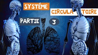 le système circulatoireles artères et les veines partie 3 [upl. by Mcleod]