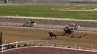 Turkmen president falls during horse race [upl. by Ethan885]