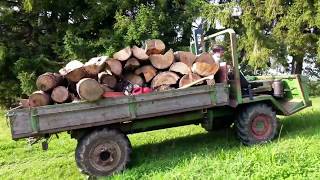 Schilter 1800 Holzfahren [upl. by Goldshell902]