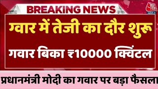 ग्वार का ताजा भाव 22 फरवरी 2024 आज ग्वार में कितनी आई तेजी देखें भाव gwar ka bhav guar seed price [upl. by Wons]