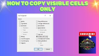 🔥How to copy visible cells only in Excel🔥 [upl. by Eaton]