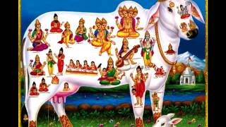 KAMDHENU COW MANTRA FOR FULL FILL DESIRES amp PLEASURE  गाय माता मन्त्र [upl. by Teresina789]