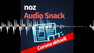 2804 Stadt Osnabrück begrenzt Anzahl der Flaggen auf prorussischer Demo  NOZ Audio Snack [upl. by Ynnaf]