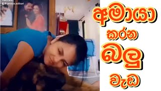 Amaya karana balu wada  පැත්ත වැරදුන වීඩියො එක [upl. by Durwin959]