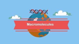 MacromoleculesA Beginners Guide [upl. by Narmi]