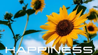 Rediscover Happiness  Powerful Subliminal to Overcome Depression [upl. by Hnahym]