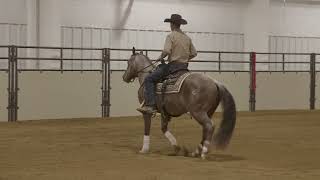 Cody Crow Introducing Your Versatility Ranch Horse to Cow Work [upl. by Zobkiw]