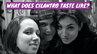 LEFT IN THE ATTIC  What does cilantro taste like [upl. by Eimot]