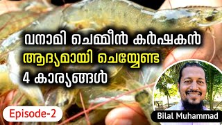 4 Things A First Time Vanamei Shrimp Farmer Should Do  വനാമി ചെമ്മീൻ കർഷകൻ ചെയ്യേണ്ട 4 കാര്യങ്ങൾ [upl. by Yslek]