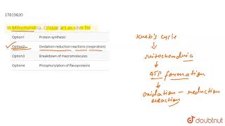 In Mitochondria Cristae act as sites for [upl. by Aliab280]