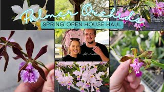 Palmer Orchids Spring Open House Haul 🛍️🪴💕 [upl. by Tremayne440]