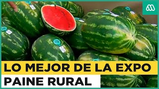 ¿Las mejores sandías de Chile La expo Paine rural muestra sus mejores productos y precios [upl. by Dyanne54]