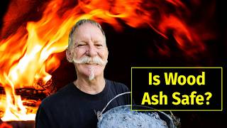 Should You Be Using Wood Ash in Your Organic Garden [upl. by Novehs]